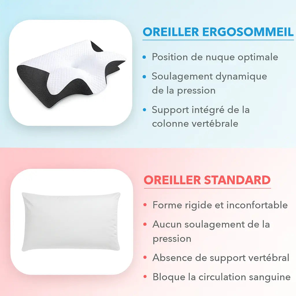 ErgoCloud | Cojín Confort